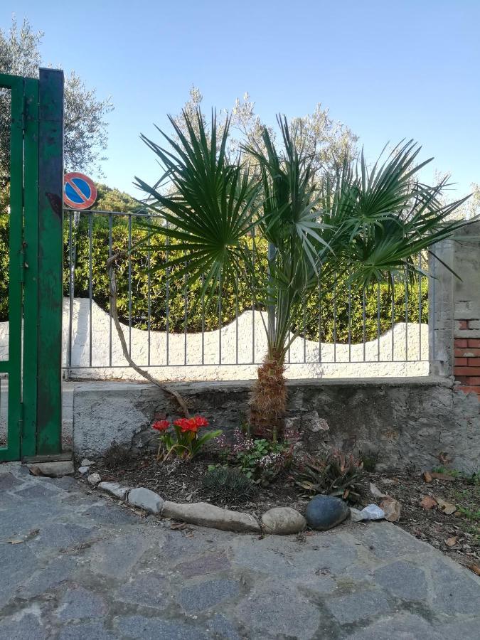 ホテル Casa San Giuseppe - Isola D'Elba カーヴォ エクステリア 写真