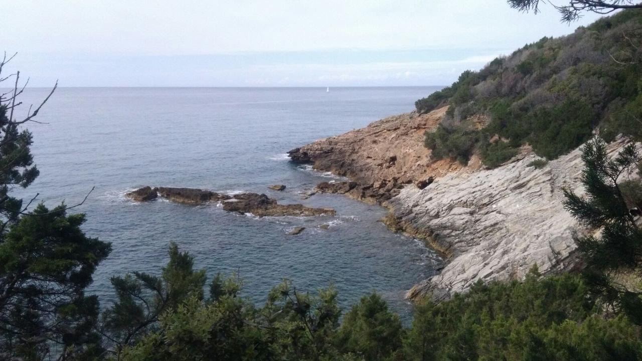 ホテル Casa San Giuseppe - Isola D'Elba カーヴォ エクステリア 写真